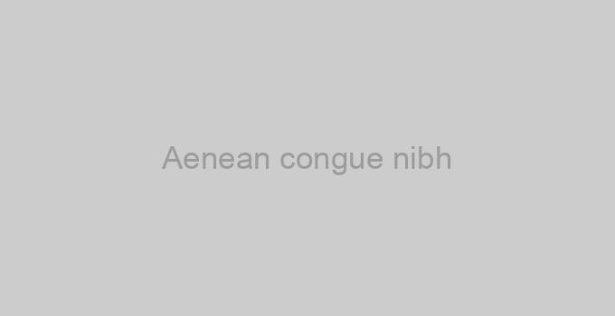 Aenean congue nibh